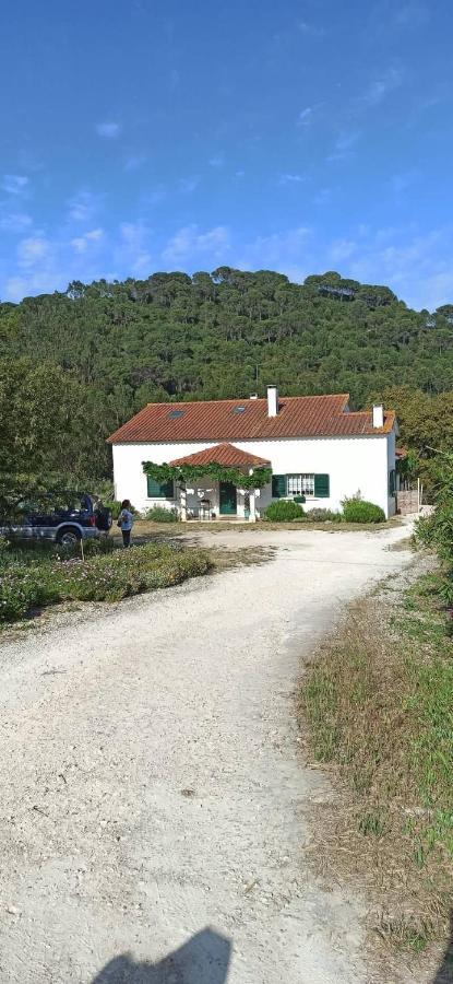 Al- Quinta Dos Carvalhais ริโอ มายอร์ ภายนอก รูปภาพ